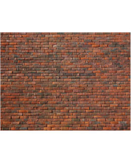 Artgeist A1-FTNT1220 FOTOTAPETTI Main Image