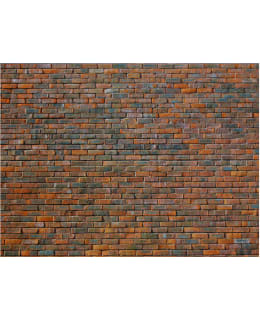 Artgeist A1-4XLFTNT1221 FOTOTAPETTI Main Image