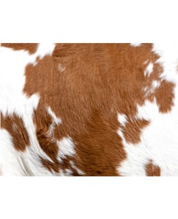 Artgeist A1-4XLFTNT1226 FOTOTAPETTI Main Image