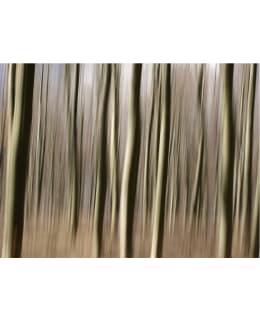 Artgeist A1-FTNT1227 FOTOTAPETTI Main Image