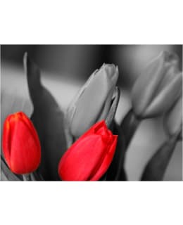 Artgeist A1-XLFTNT1276 FOTOTAPETTI Main Image