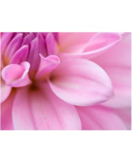 Artgeist A1-LFTNT1280 FOTOTAPETTI Main Image