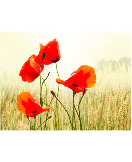 Artgeist A1-LFTNT1286 FOTOTAPETTI Main Image