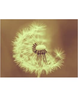 Artgeist A1-XLFTNT1297 FOTOTAPETTI Main Image