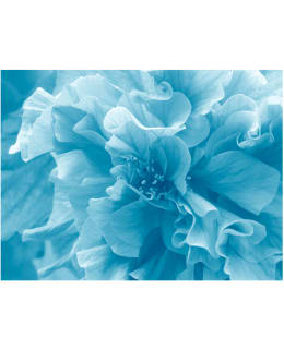 Artgeist A1-LFTNT1298 FOTOTAPETTI Main Image