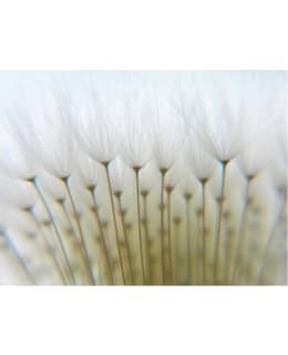 Artgeist A1-LFTNT1299 FOTOTAPETTI Main Image