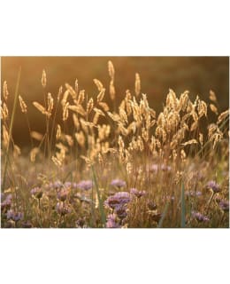 Artgeist A1-FTNT1308 FOTOTAPETTI Main Image