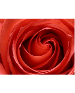 Artgeist A1-XXLFTNT1310 FOTOTAPETTI Main Image