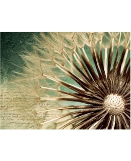 Artgeist A1-4XLFTNT1490 FOTOTAPETTI Main Image