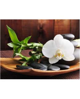 Artgeist A1-XXLFTNT1491 FOTOTAPETTI Main Image