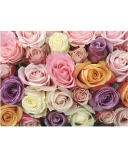 Artgeist A1-XXLFTNT1492 FOTOTAPETTI Main Image