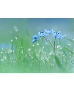 Artgeist A1-LFTNT1328 FOTOTAPETTI Main Image