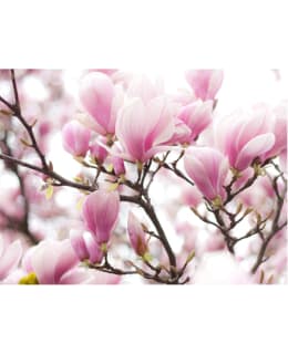 Artgeist A1-FTNT1615 FOTOTAPETTI Main Image