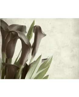 Artgeist A1-FTNT1347 FOTOTAPETTI Main Image