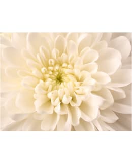 Artgeist A1-4XLFTNT1348 FOTOTAPETTI Main Image