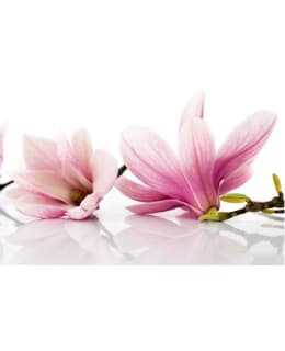 Artgeist A1-XLFTNT1353 FOTOTAPETTI Main Image