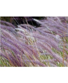 Artgeist A1-XLFTNT1354 FOTOTAPETTI Main Image