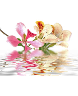 Artgeist A1-4XLFTNT1355 FOTOTAPETTI Main Image