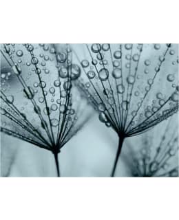 Artgeist A1-4XLFTNT1363 FOTOTAPETTI Main Image