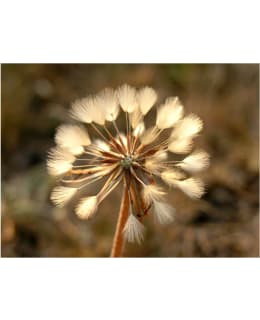 Artgeist A1-LFTNT1370 FOTOTAPETTI Main Image