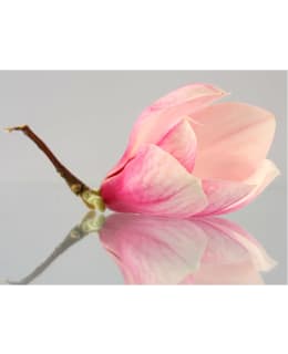 Artgeist A1-XLFTNT1372 FOTOTAPETTI Main Image