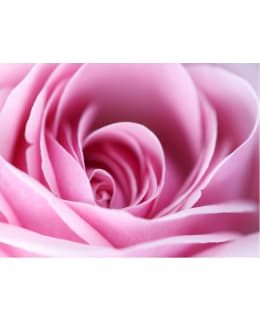 Artgeist A1-XLFTNT1373 FOTOTAPETTI Main Image