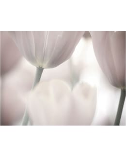 Artgeist A1-LFTNT1379 FOTOTAPETTI Main Image