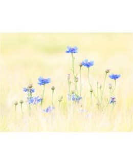 Artgeist A1-XLFTNT1381 FOTOTAPETTI Main Image