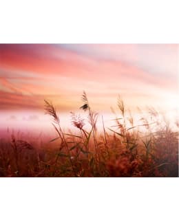 Artgeist A1-XXLFTNT1386 FOTOTAPETTI Main Image