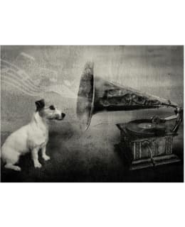 Artgeist A1-4XLFTNT1455 FOTOTAPETTI Main Image