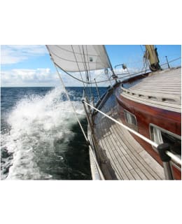 Artgeist A1-FTNT1461 FOTOTAPETTI Main Image