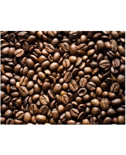 Artgeist A1-XXLFTNT0883 FOTOTAPETTI Main Image