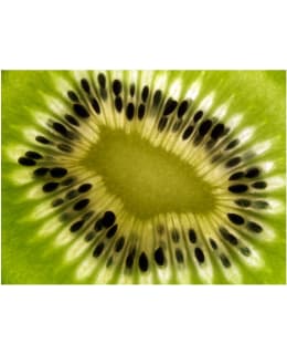 Artgeist A1-XLFTNT0872 FOTOTAPETTI Main Image