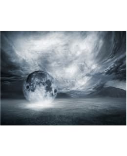 Artgeist A1-FTNT0848-P FOTOTAPETTI Main Image