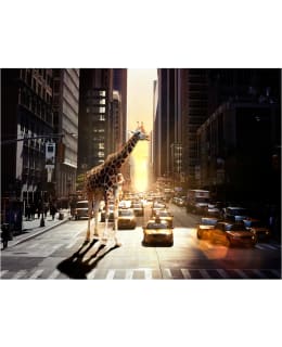 Artgeist A1-XXLFTNT0845 FOTOTAPETTI Main Image