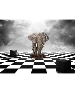 Artgeist A1-LFTNT0841 FOTOTAPETTI Main Image