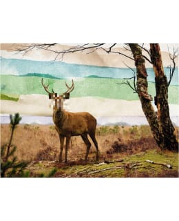 Artgeist A1-LFTNT0838 FOTOTAPETTI Main Image