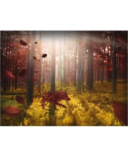 Artgeist A1-XXLFTNT0823 FOTOTAPETTI Main Image