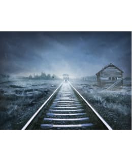 Artgeist A1-FTNT0802-P FOTOTAPETTI Main Image