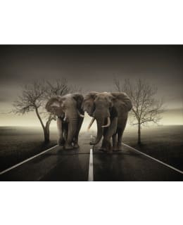 Artgeist A1-4XLFTNT0798 FOTOTAPETTI Main Image