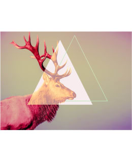 Artgeist A1-XLFTNT1474 FOTOTAPETTI Main Image