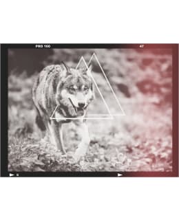 Artgeist A1-4XLFTNT1476 FOTOTAPETTI Main Image