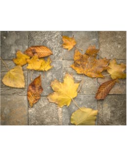 Artgeist A1-XLFTNT0774 FOTOTAPETTI Main Image