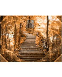 Artgeist A1-XXLFTNT0764 FOTOTAPETTI Main Image