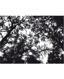 Artgeist A1-LFTNT0753 FOTOTAPETTI Main Image