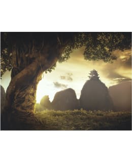 Artgeist A1-XXLFTNT0744 FOTOTAPETTI Main Image