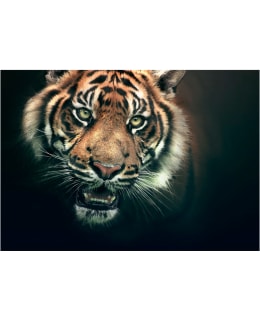 Artgeist A1-LFTNT0741 FOTOTAPETTI Main Image