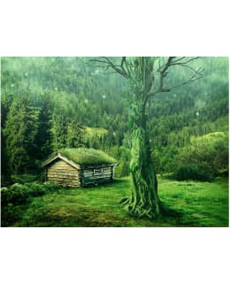 Artgeist A1-XXLFTNT1532 FOTOTAPETTI Main Image