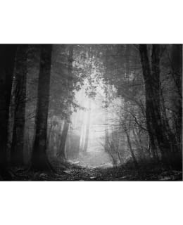 Artgeist A1-XLFTNT1539 FOTOTAPETTI Main Image