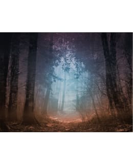 Artgeist A1-FTNT1540 FOTOTAPETTI Main Image